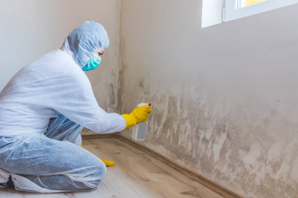Licensed Bathroom Mold Removal service in Hudson, NC - WQB Mold Removal