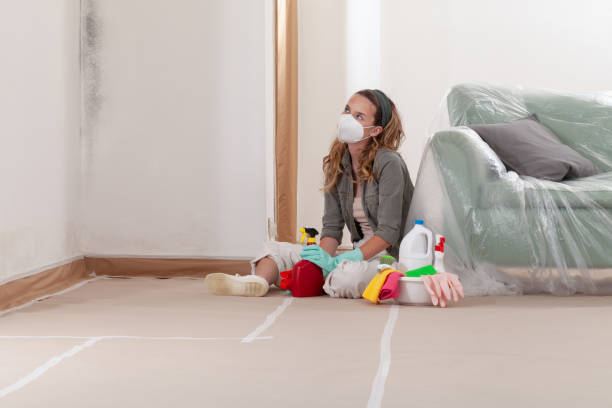 Reliable Bathroom Mold Removal contractor in Hudson, NC by WQB Mold Removal